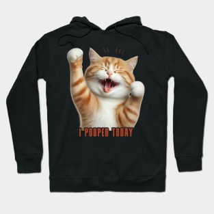 I Pooped Today // Funny Cat Hoodie